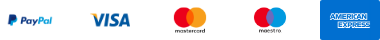 PayPal, Visa, Mastercard, Maestro and American Express logos