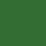 Dark Green BS14C39